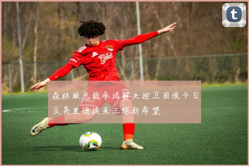 森林狼总裁承诺解决控卫困境今日交易里德换来三球新希望