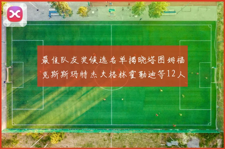 最佳队友奖候选名单揭晓塔图姆福克斯斯玛特杰夫格林霍勒迪等12人争夺荣耀